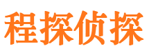 桑日私家调查公司